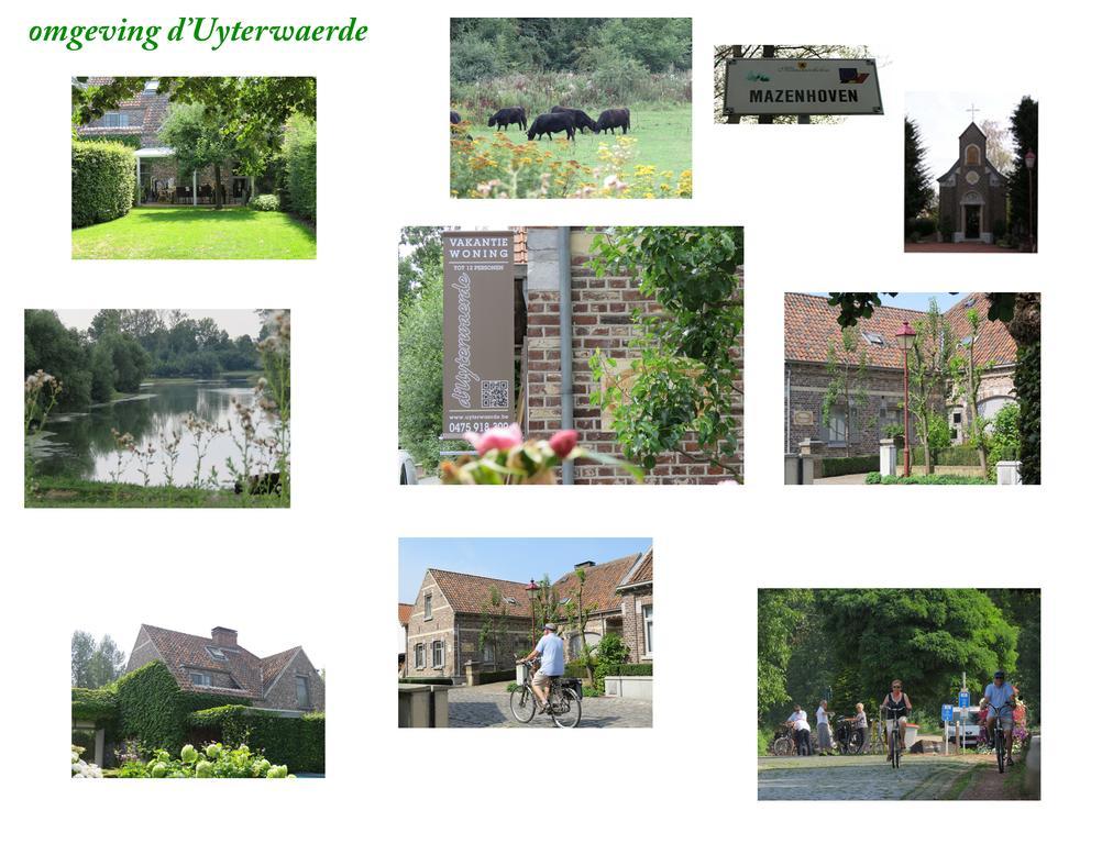 D'uyterwaerde
